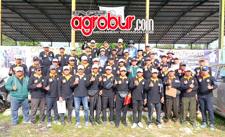 Liga Perkutut Madura #7 Sumenep, Peserta Tembus 12 Blok, Genius, Prabu Siliwangi, Melodi, Adi Putro dan Ratu Balqis Pertontonkan Suara Terbaiknya