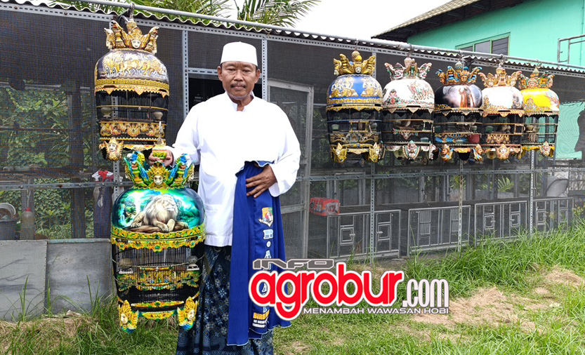 Abah Riman Tomy Bird Farm Surabaya, Tepis Spekulasi Stop dari Hobi Perkutut, Ini Bukti Eksistensinya Sebagai Kung Mania