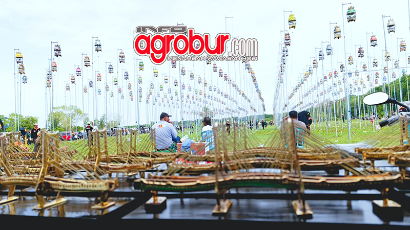 Juara Liga Perkutut Madura Bangkalan, Penganugerahan Jawara 2025, Minggu 21 Desember 2025