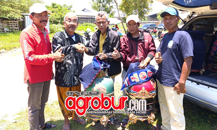 BLGM Blega, Produknya Moncer di Piyik Bebas dan Piyik Hanging LatNil Kolaborasi Bangkalan, Langsung di Take Over H.Thoha Krian Sidoarjo dan Abu Domisol