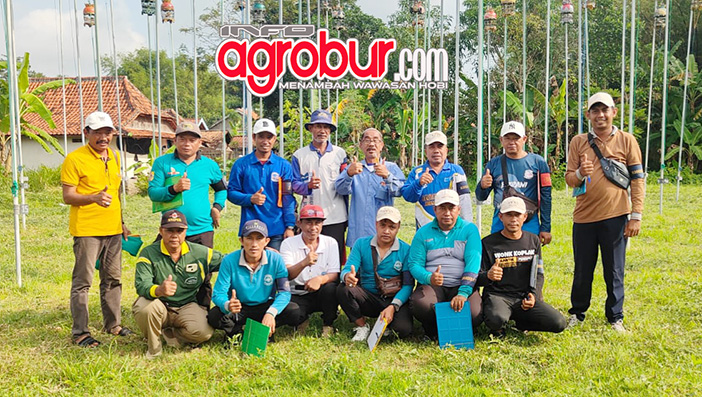 LatNil Kopang Blega Bangkalan (Selasa, 17/02), Agenda Juri Jelang Ramadhan dan Jadi Ajang Pamer Orbitan Kung Mania serta Peternak Level Atas