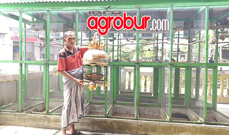 P2RM Putra Panorama BF Pamekasan, Produk Laris Manis, Tak Sempat Orbitkan Sendiri ke Lapangan