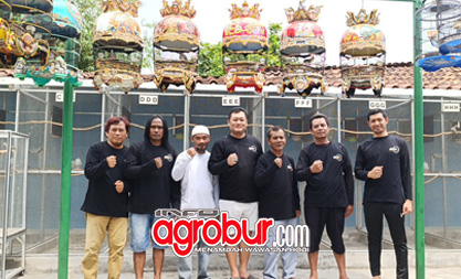 GNP Bird Farm Tulungagung, Seleksi dan Evaluasi Hasil Breeding Menuju Musim 2026