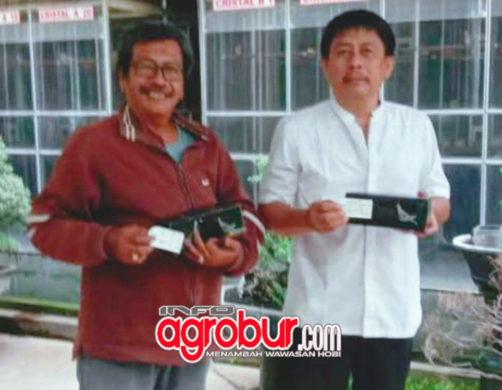 Laba-Laba BF Surabaya, Kolaborasi bersama SKM BF Demi Wujudkan Impian Eksis di Arena dan Orbitkan Produk Unggulan