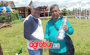 Tampil Perdana, Raih Podium Pertama PH di Ramadhan Cup Pengda Salatiga, Perkutut Tong Tong Jadi Pembuktian Kualitas Produk Joyo Semarang, Pasca Juara Langsung Diboyong Mahmud IBF Salatiga