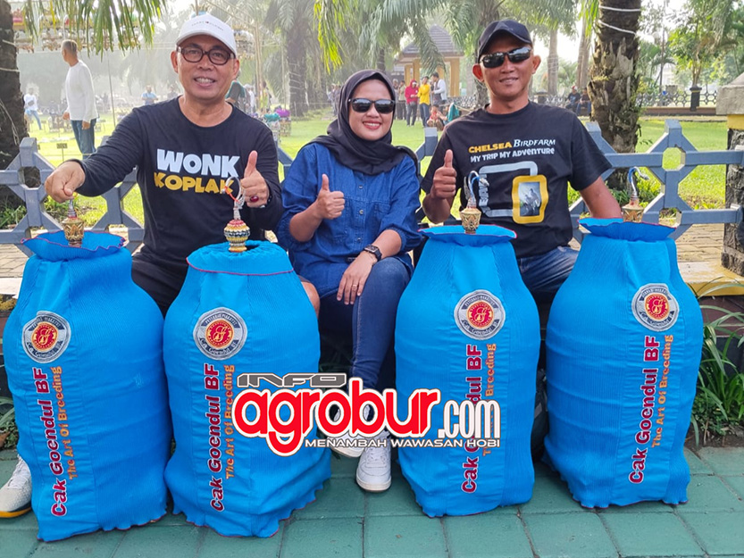 Tim Chelsea & Goendul Surabaya, Berkah LPI Cinta Satwa Cup Caruban Madiun, Antar Empat Amunisi Piyik Tembus Daftar Juara Plus Bawa Pulang Doorprize Sepeda Motor